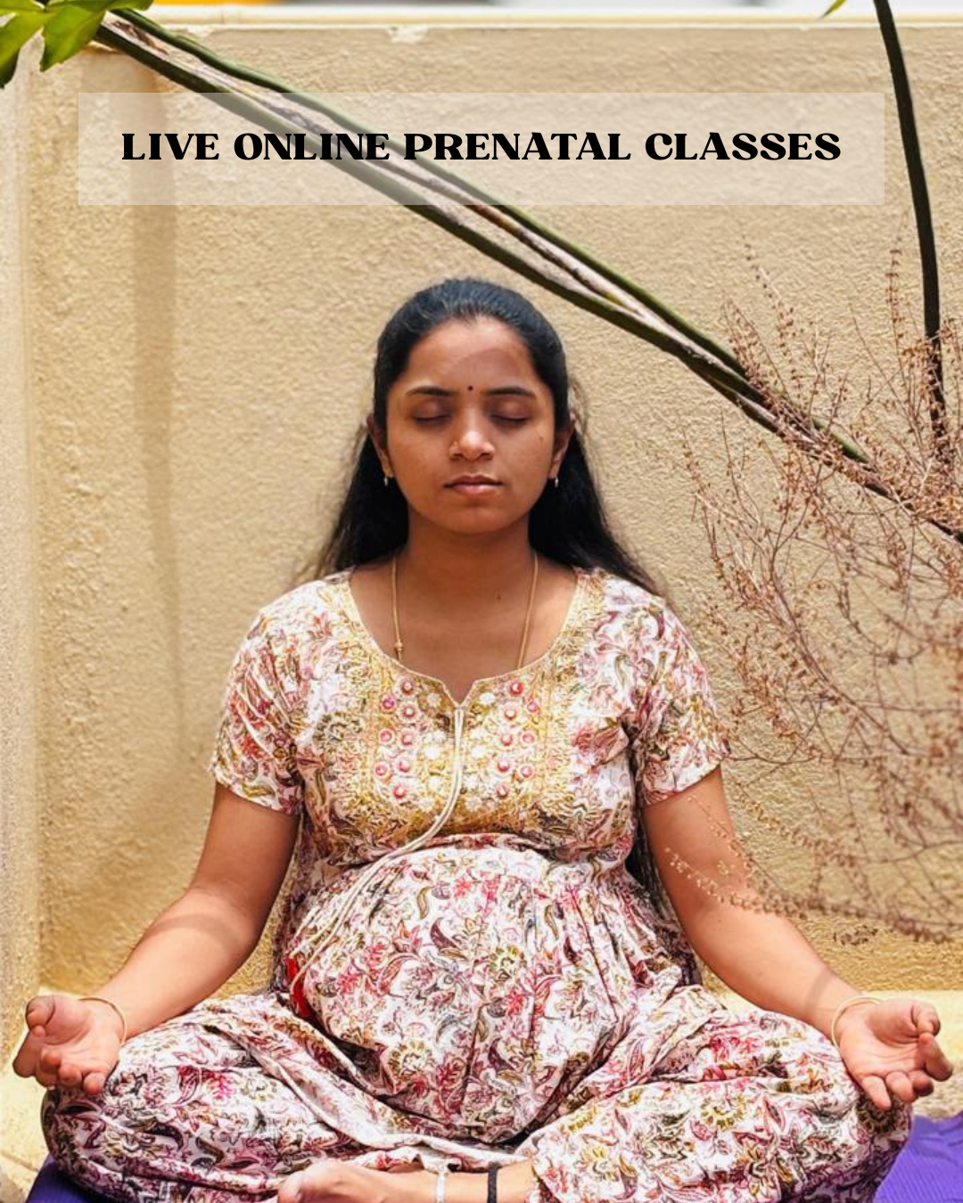Harika's Yoga live online prenatal yoga classes